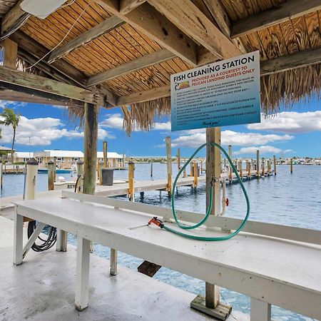 St Kitts - Downtown Waterfront Penthouse Pool Dock Parking Vila Key West Exterior foto